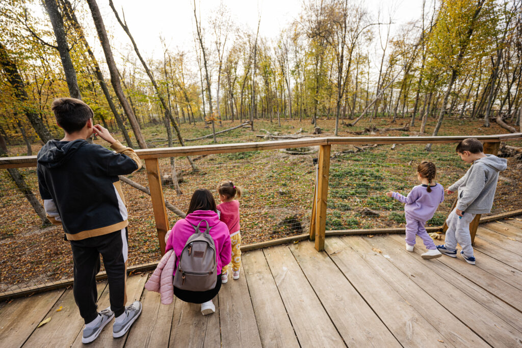 Family with four kids looking at wild animals from wooden bridge
